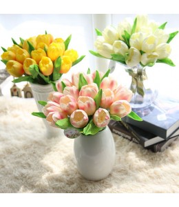 ورد توليب ورد توليب